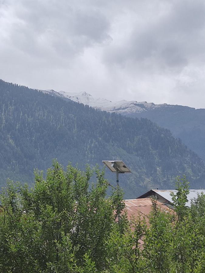 Woods Inn Mountain View Manali Exterior photo